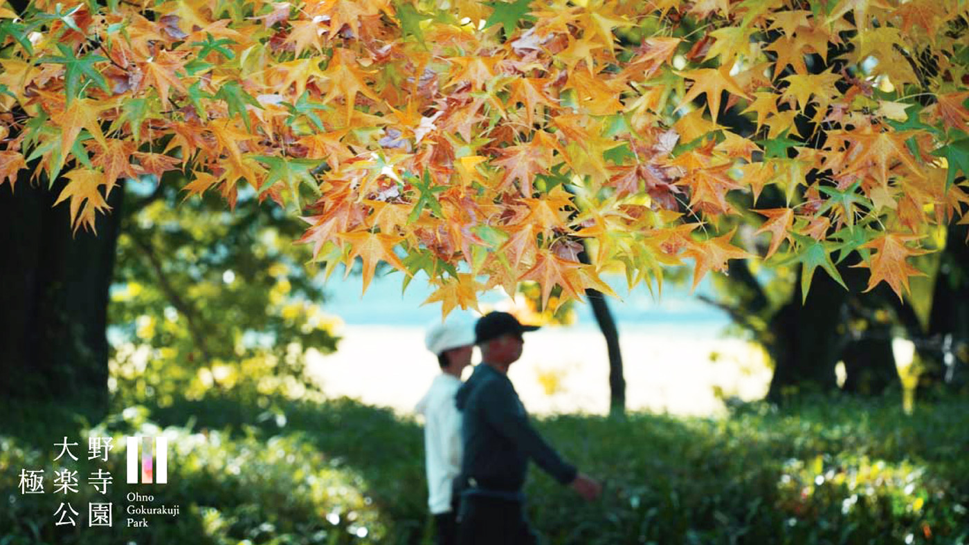 紅葉ウオーキング